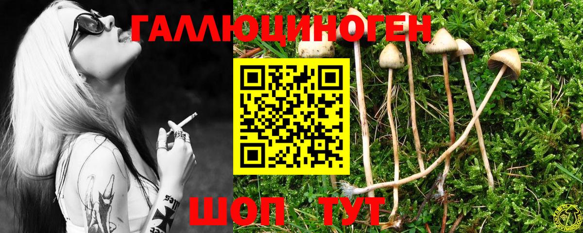 Псилоцибиновые грибы Cubensis  Вход с VPN  Протвино 